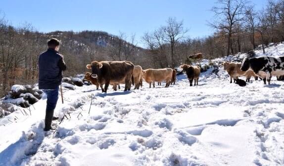 redqueserias's tweet image. Estrenamos año con nieve en muchos lugares y con el deseo de que el refrán se cumpla... "AÑO DE NIEVES, AÑO DE BIENES". Feliz año a toda la familia quesera, a los que los degustáis y a los que os resistís, también! :-) 
Salud 
Foto: larioja.com 
#QueRed #FACEnetwork