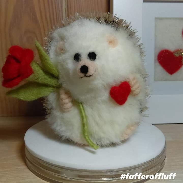 fafferoffluff's tweet photo. Romance Hog is sending virtual hugs to anyone who needs one. 
Times are weird and uphilly. Hugs make 'em seem more bearable. 
#fafferoffluff #shropshire #minihogs https://t.co/ilAjfAI7GO