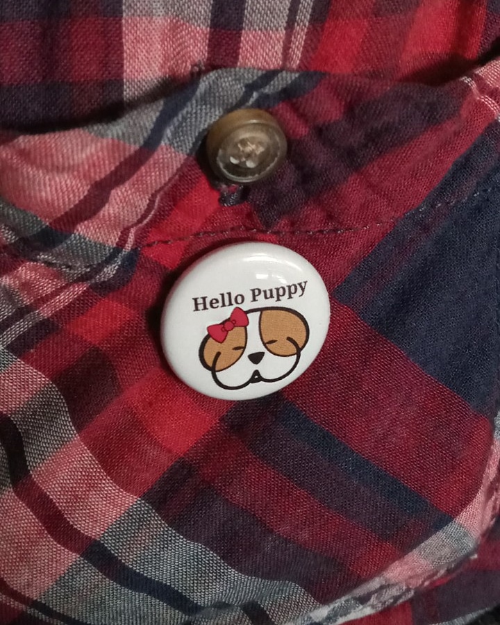 realhellopuppy's tweet photo. Sai wearing a Hello Puppy button.
#HelloPuppy https://t.co/QNyRfTXM1D