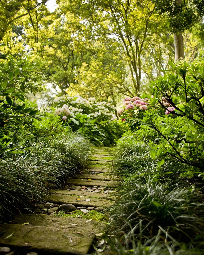 JenniferJ_Dean's tweet photo. 🎹 Dreaming Of You - Brian Culbertson
#gardendesign #gardeninspiration #beautifulgarden #gardensoftheworld #colourfulgarden #landscapedesign #magicalgardens #gardenseason #instagarden #greeninspiration #landscapecollection #outdoors #beautifullandsca… https://t.co/Ae2yrNxBrd https://t.co/W3v4a9ijPe
