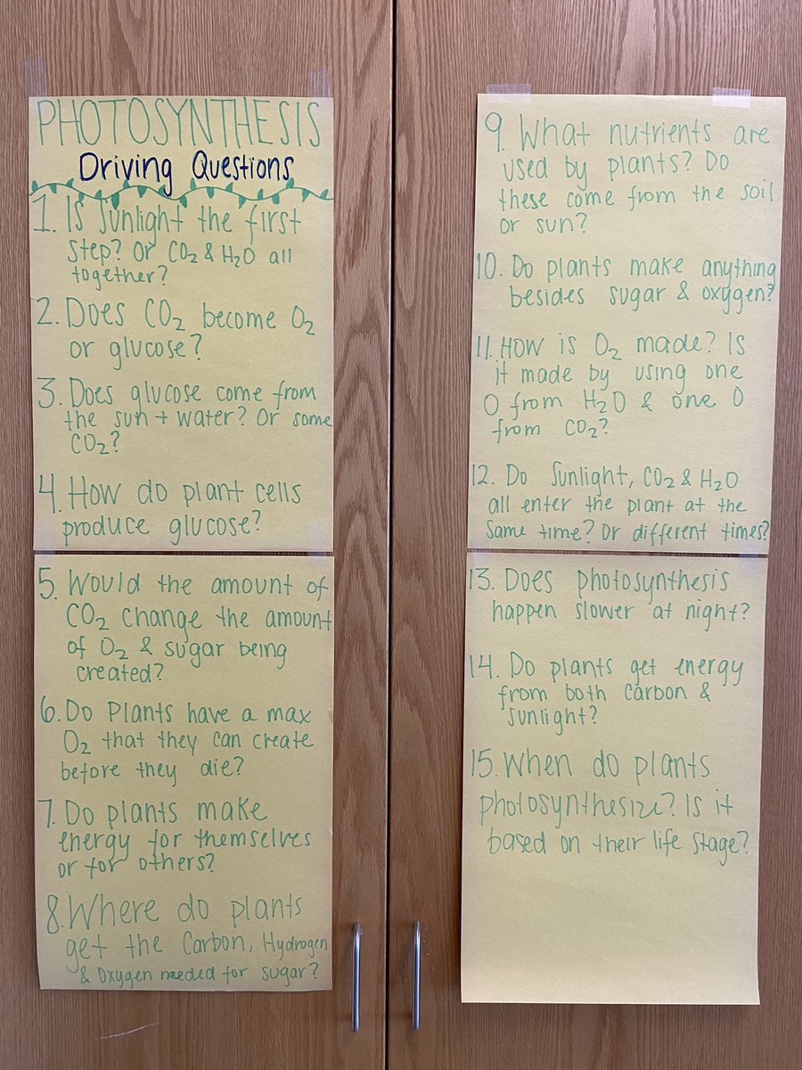 Ms_Calasso's tweet photo. Ss exercised their role as scientists by generating research questions about photosynthesis💭 

They developed these Qs after reflecting on their prior knowledge and engaging in a class discussion! These Qs will guide the rest of our unit➡️#BectonScience #GuidedInquiry #ngsschat https://t.co/vwegfP1KiM