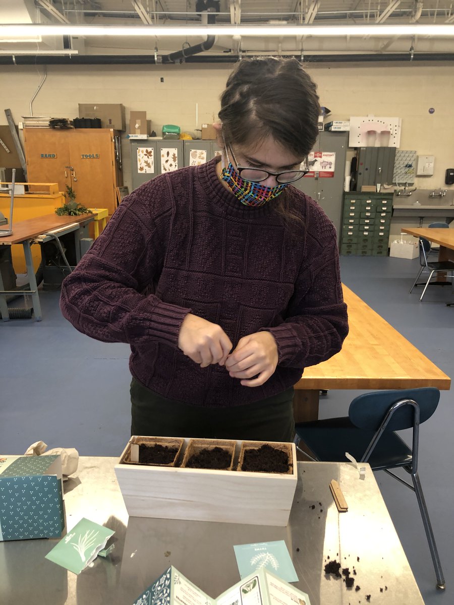 GalwayCSD's tweet photo. Ms. @Carter05119515's Plant Science class is working on growing herbs. Stay tuned to see what we grow! https://t.co/z1hGGRkXci