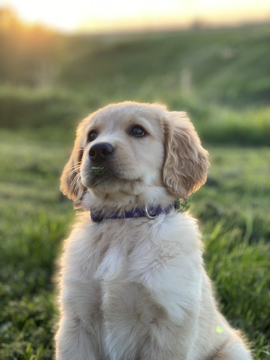 Let’s add some Baby Beaker.