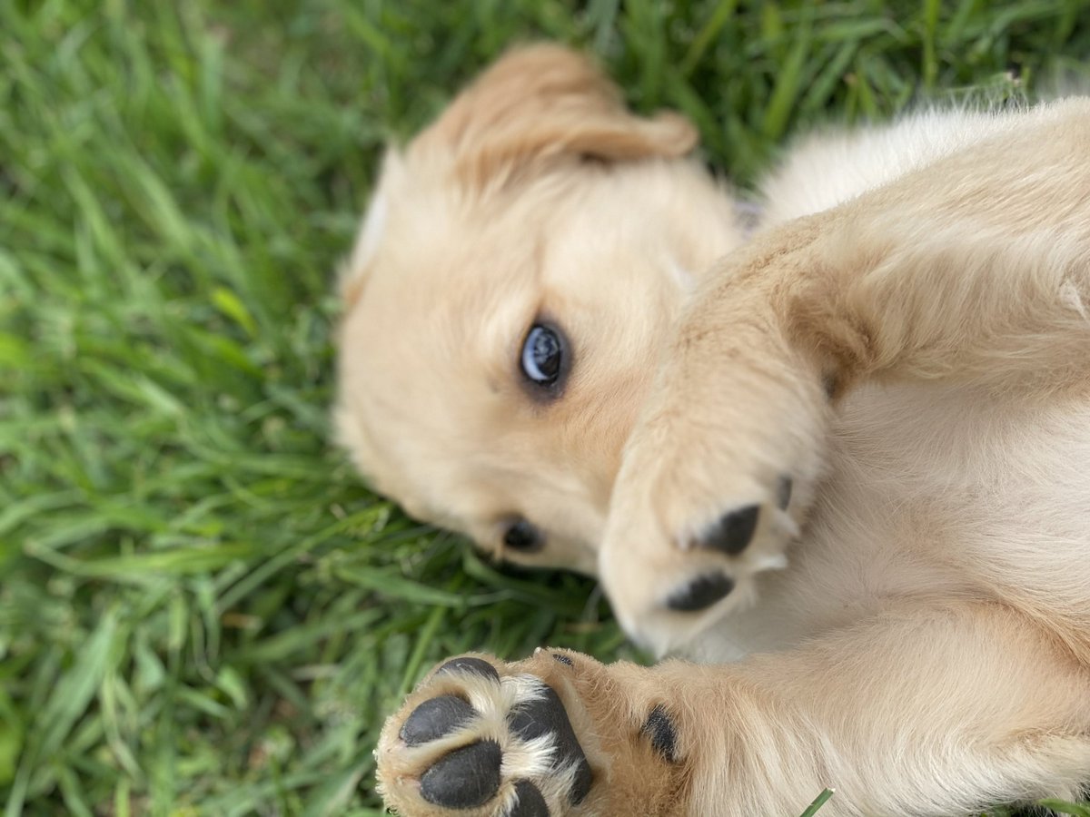 Let’s add some Baby Beaker.