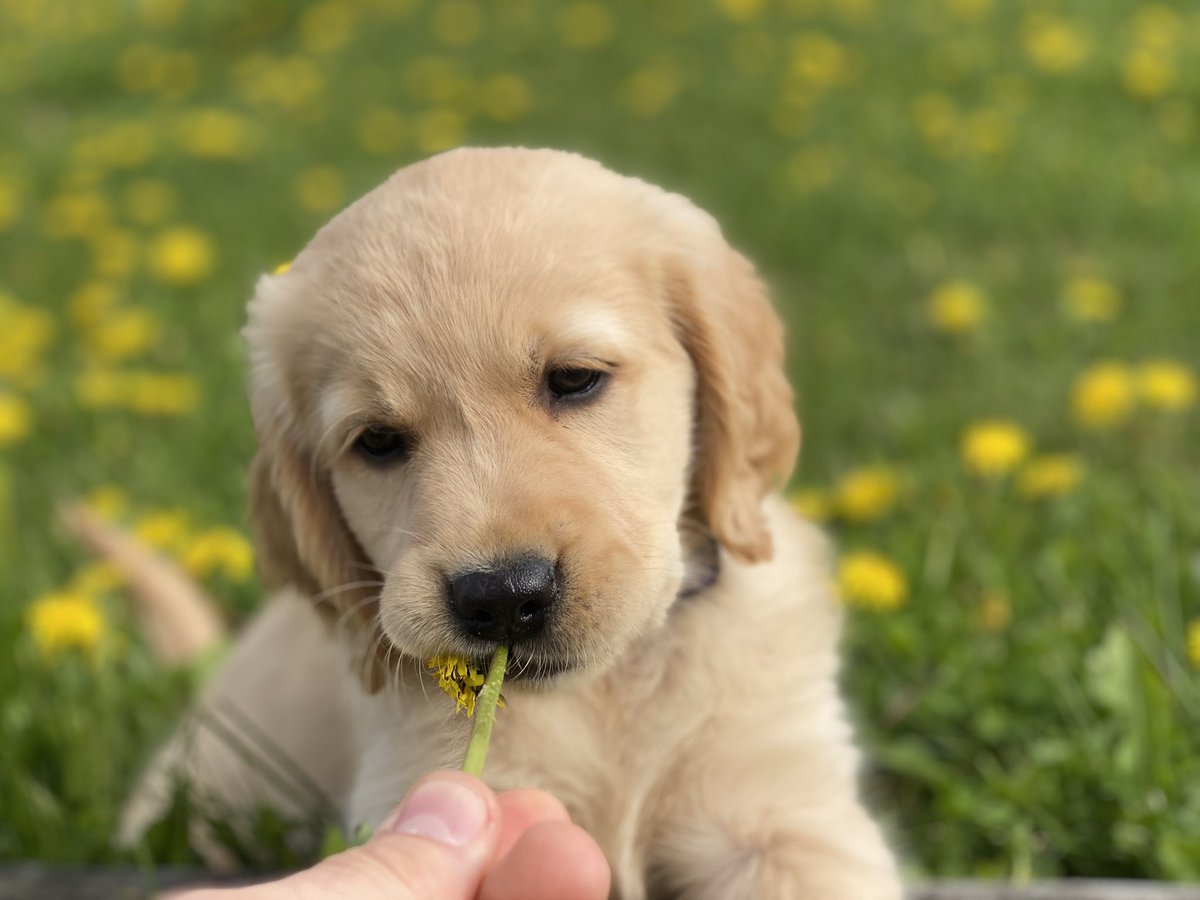 Let’s add some Baby Beaker.