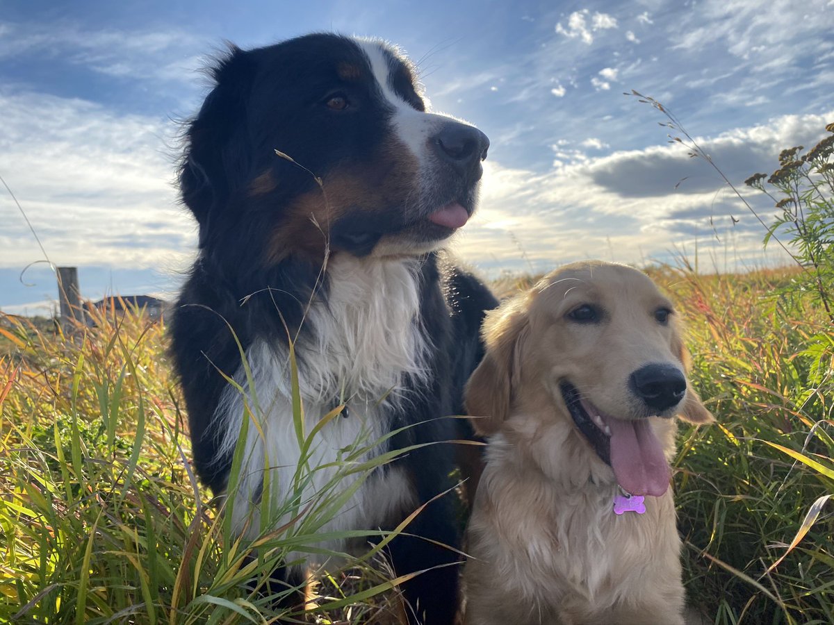 And some of the two of them.