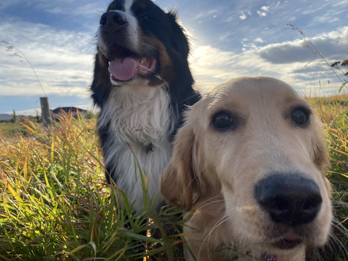 And some of the two of them.