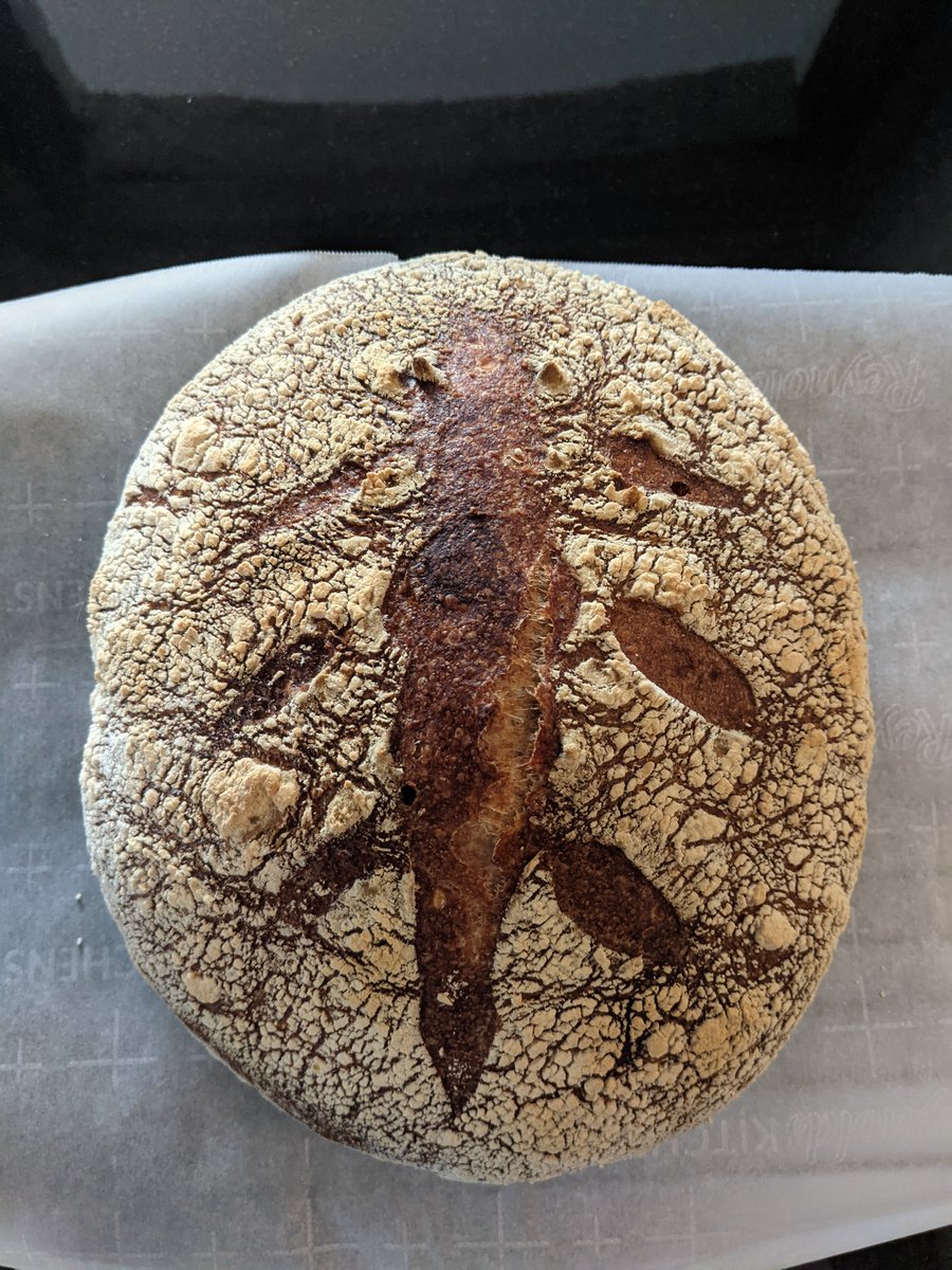 njrhodes_rx's tweet photo. First bread loaf post-parenthood. I think this came out nice. Thanks for advice @SajalTanna and @mangarone23. My big change was to try to avoid degassing. #idbaking #breadsoftwitter https://t.co/k0Whb6VfGs