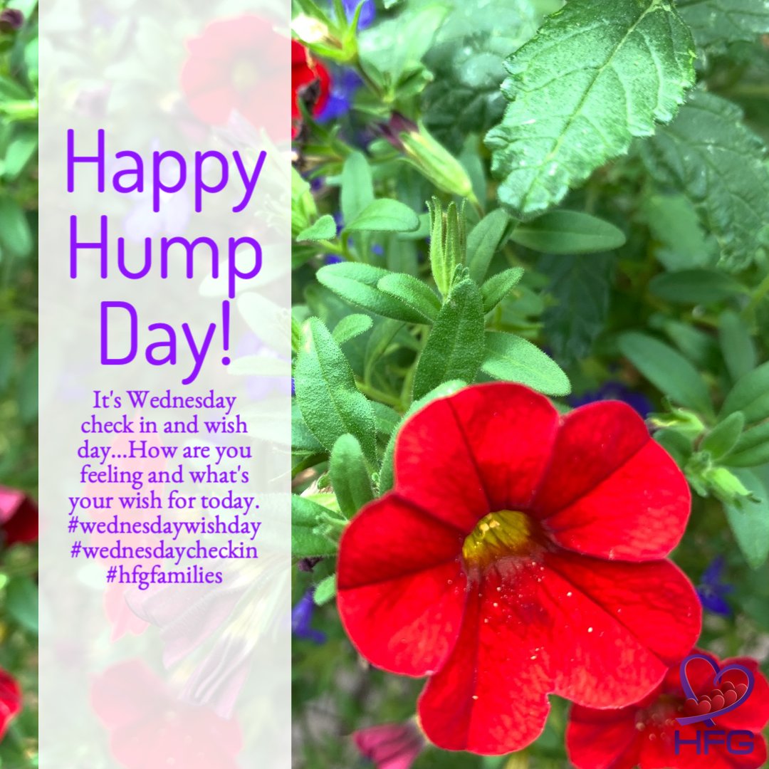 It's Wednesday check in and wish day...How are you feeling and what's your wish for today. #wednesdaywishday #wednesdaycheckin #hfgfamilies