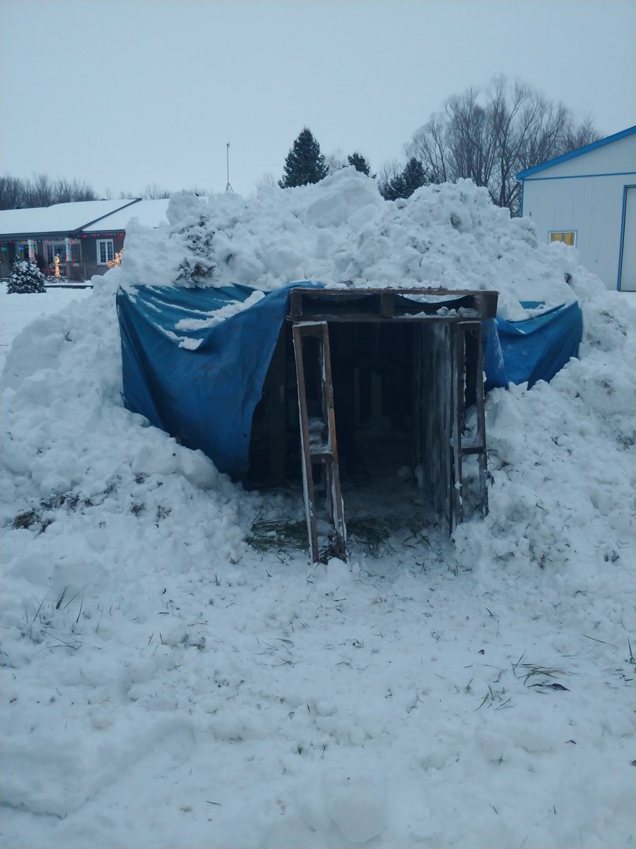 StCatherineGr6's tweet photo. St Catherine students were challenged to make snow forts. Here are some pictures of their hard work. @StCatherineOCSB @StCatherineGr5 https://t.co/KEKdRq1Txl