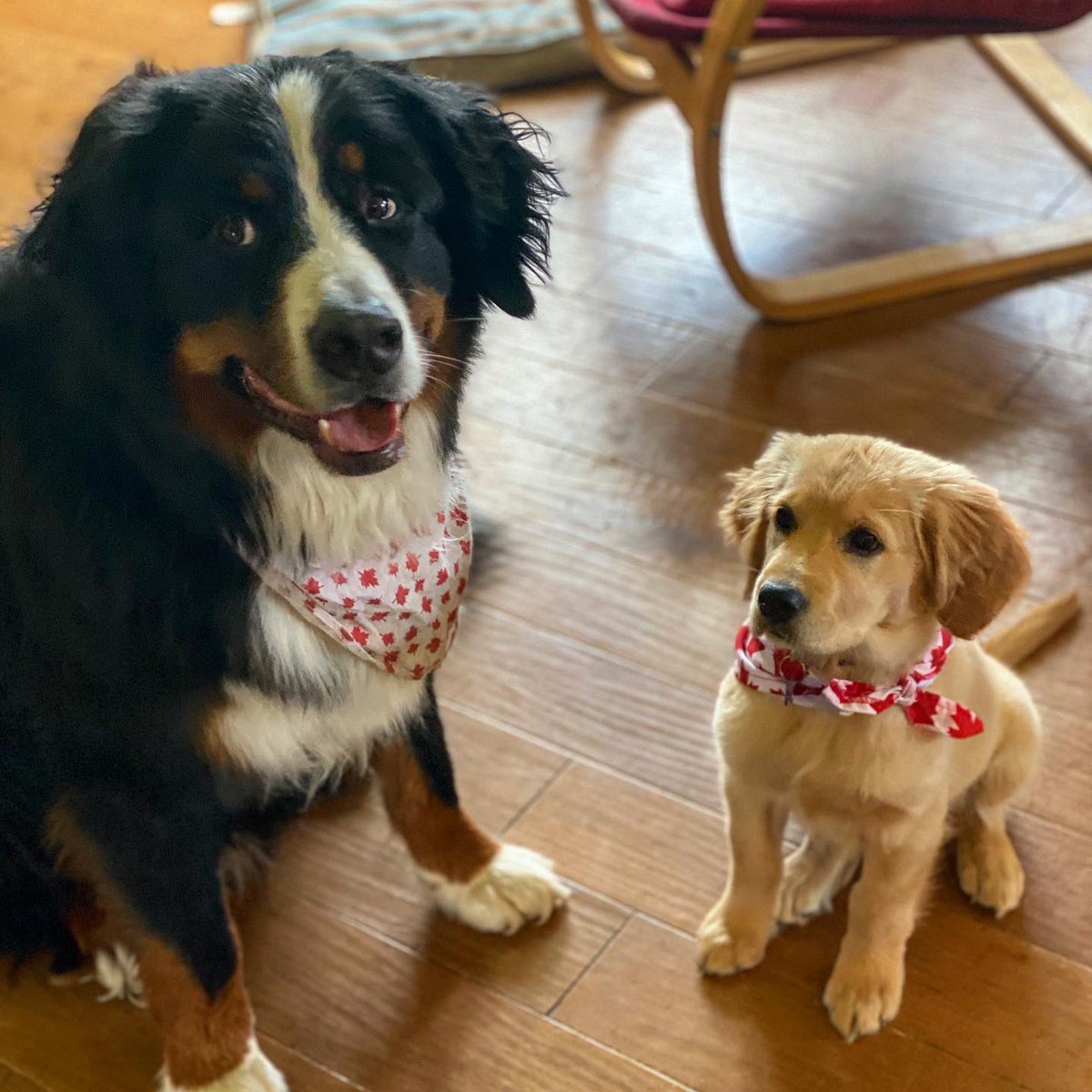 Some duo shots! Dadguys favs!