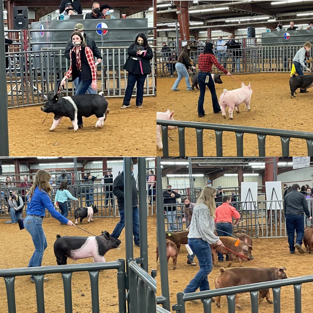 Prosper FFA tweet media