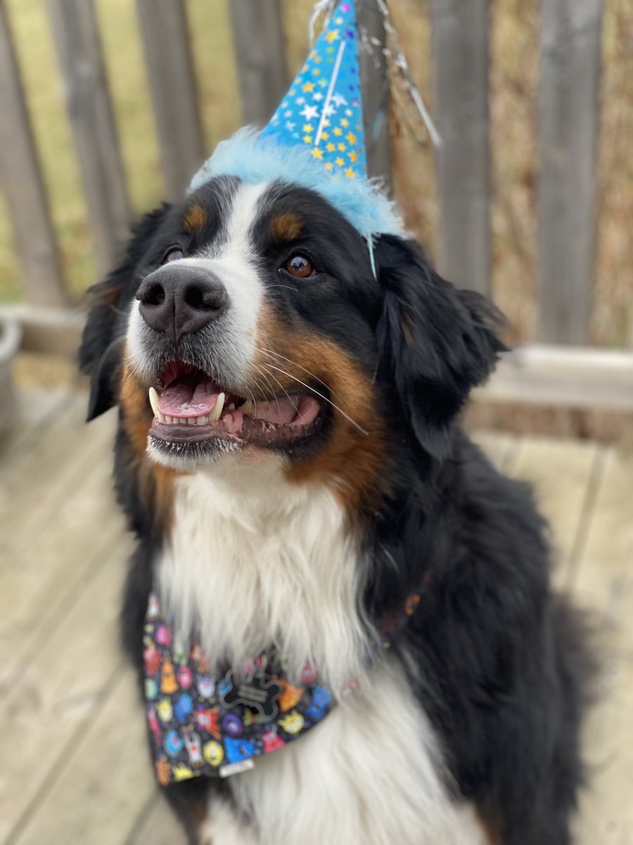 And Bunsen in costume!!