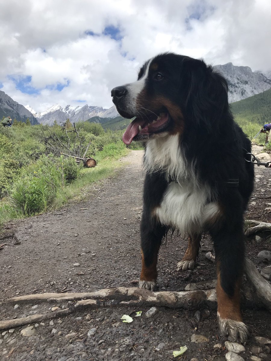 And epic Bunsen shots