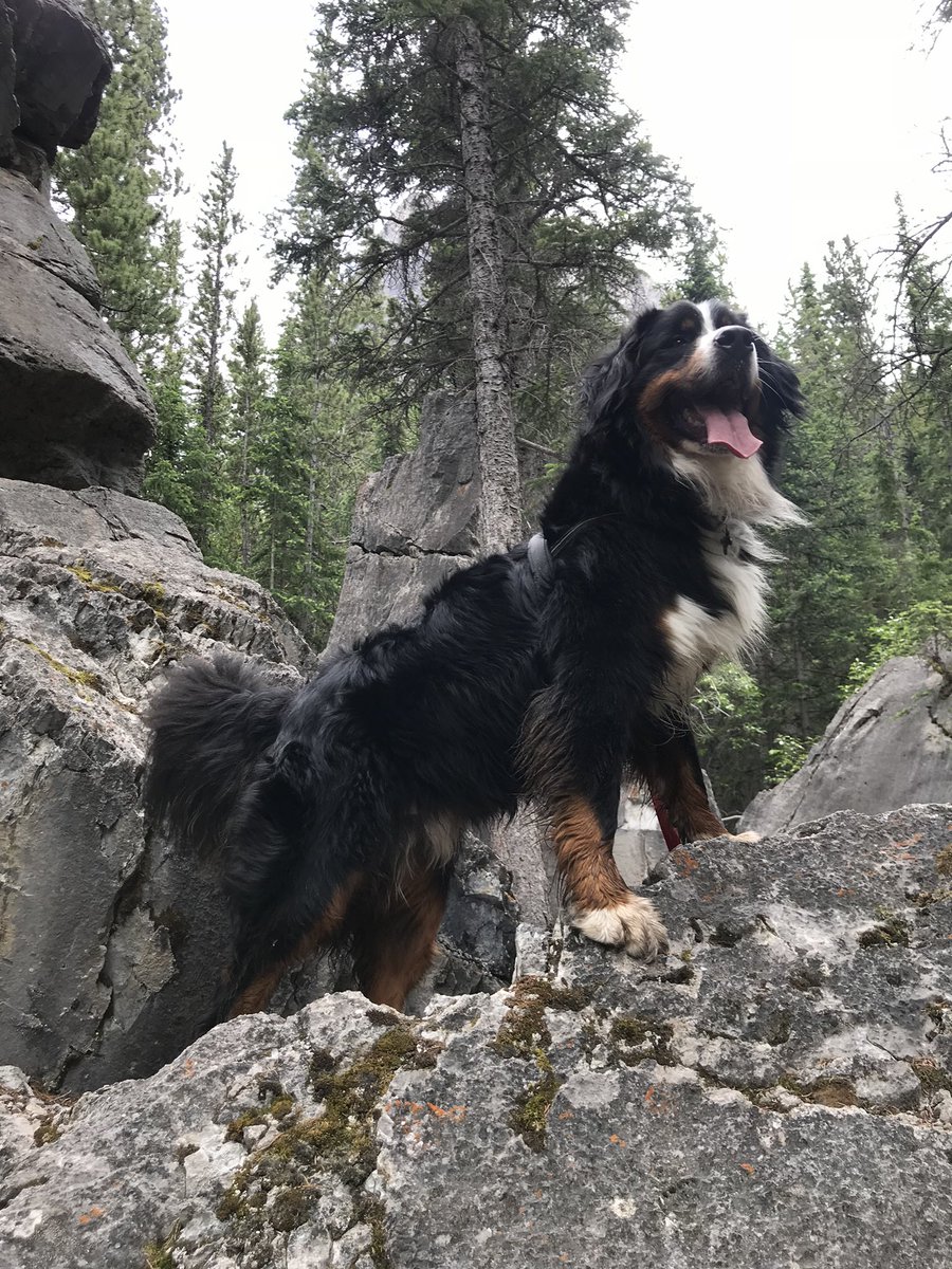 And epic Bunsen shots