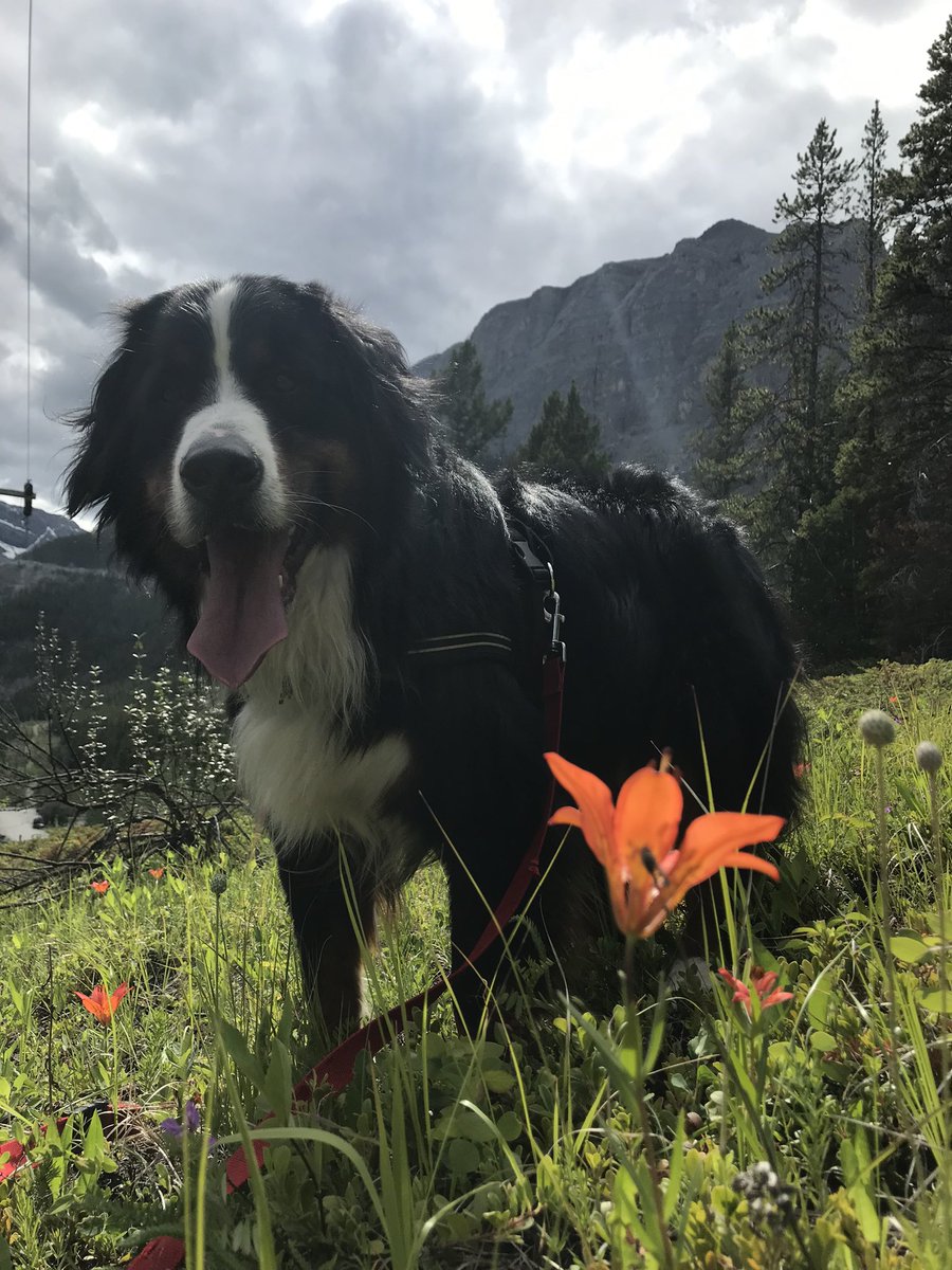 And epic Bunsen shots