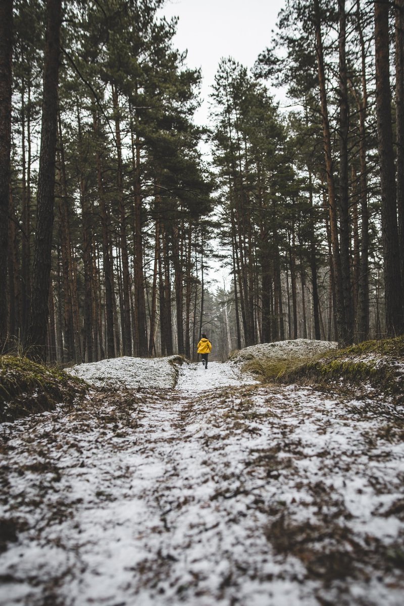 mtm_kuleuven's tweet photo. A new year ... with good intentions 🏃‍♂️🏃‍♀️ Being able to exercise without pain or injury? It’s every athlete's dream as well as the goal of RunEASI, a new spin-off of KU Leuven. https://t.co/BEVHFTnSZb #RunEASI #spinoff #kuleuven https://t.co/GaYAKfzzcT