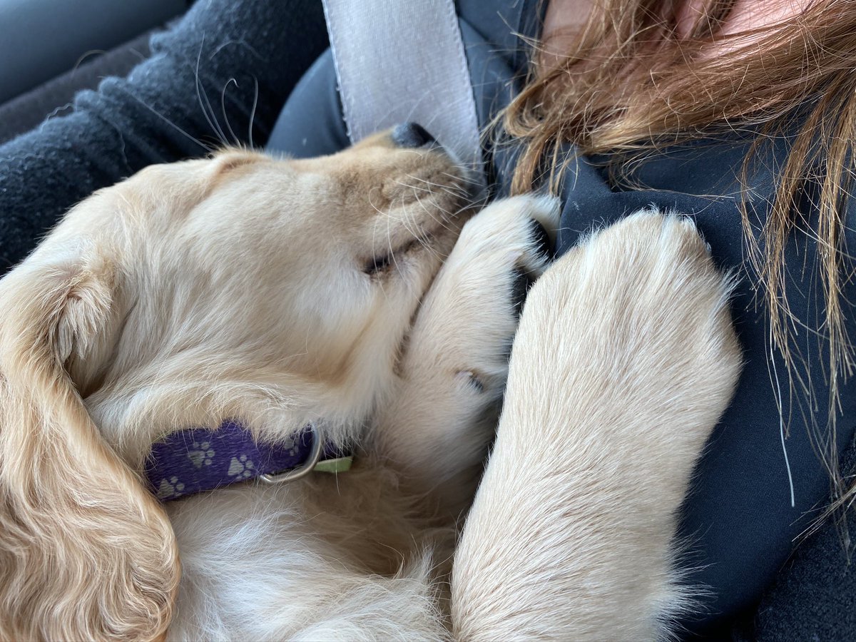 OH YOU THOUGHT NO MORE BABY PICS BUTI AM HERE ALSO!!