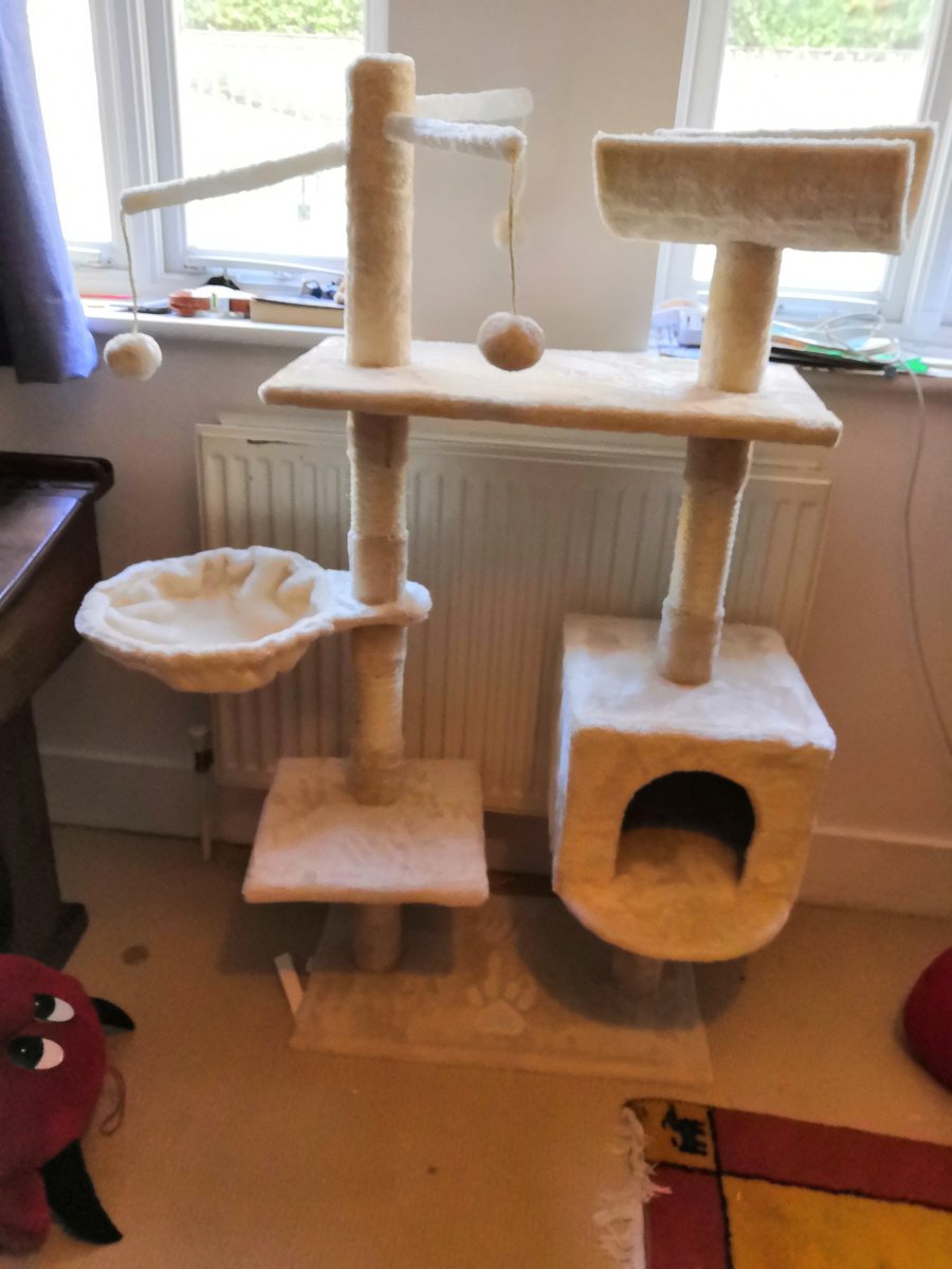 PericlesCat's tweet photo. Look! Not sure about it though. https://t.co/5cpGYCvniI
