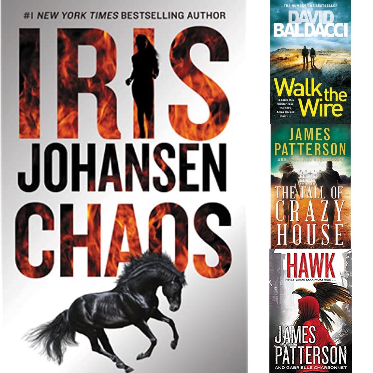 mcpl1965's tweet photo. Some staff favorites from this past year #irisjohansen @davidbaldacci #jamespatterson #chaos #thefallofcrazyhouse #hawk #publiclibrariesareawesome https://t.co/i6QghOZFbr