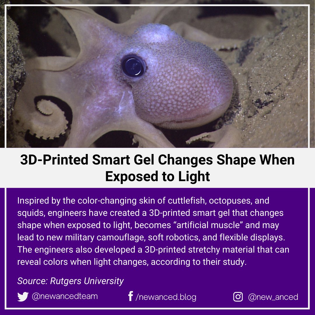 sciencenstuf's tweet photo. 3D-Printed Smart Gel Changes Shape When Exposed to Light
Source: Rutgers University
📷 NOAA Okeanos Explorer Program, Galapagos Rift Expedition 2011
#tech #3dprinting #smartgel #light
https://t.co/BeyMobMdFe https://t.co/eH9KuMWNse