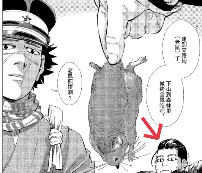 这就是猫科吗 