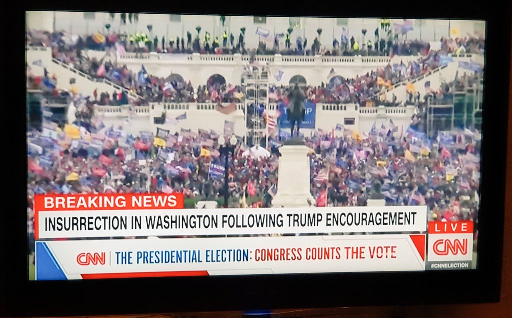 Mari-Ann 🌹👵👜🌧🌞 tweet media