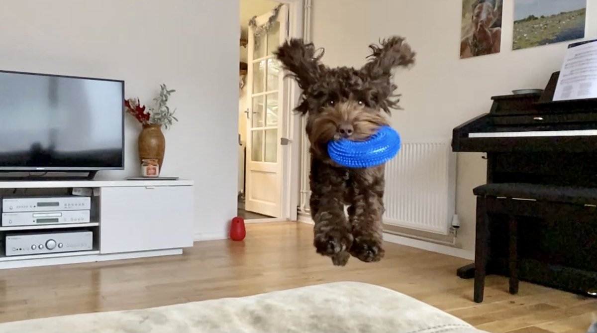 Sarah Burns tweet media