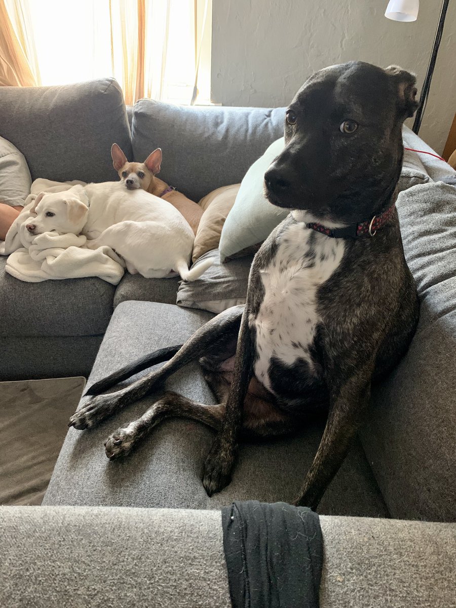 Franklin using Alice as a pillow: a thread