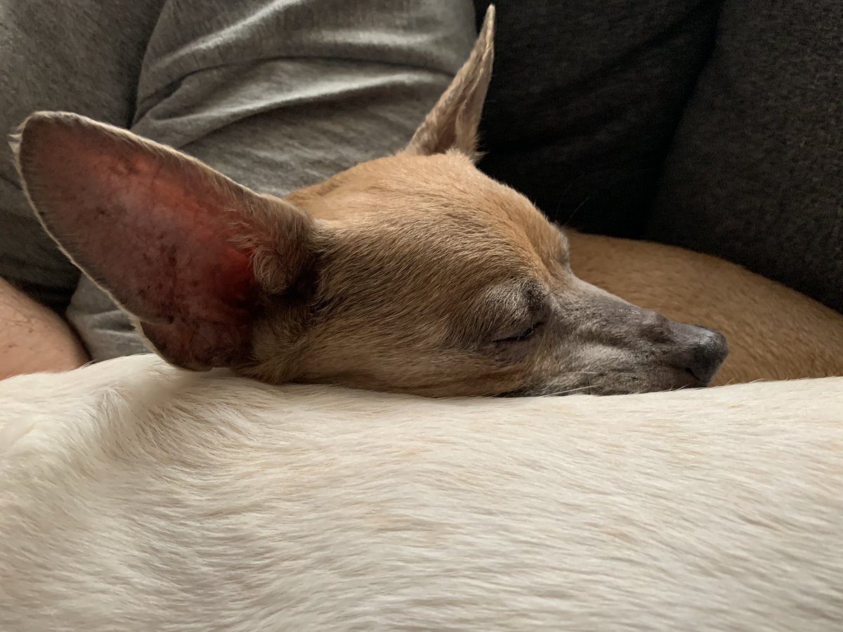 Franklin using Alice as a pillow: a thread