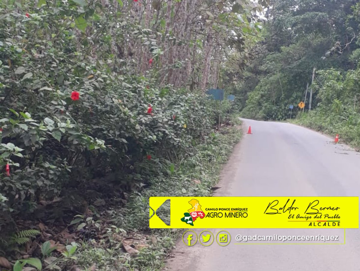 GADCPE's tweet photo. Personal de Obras Públicas se trasladaron a la comunidad de Santa Martha para realizar desbroce de maleza en el camino principal de este sitio, seguimos manteniendo limpias las rutas de nuestras comunidades @AzuayPrefectura @goberazuay https://t.co/ONTiopP7Df