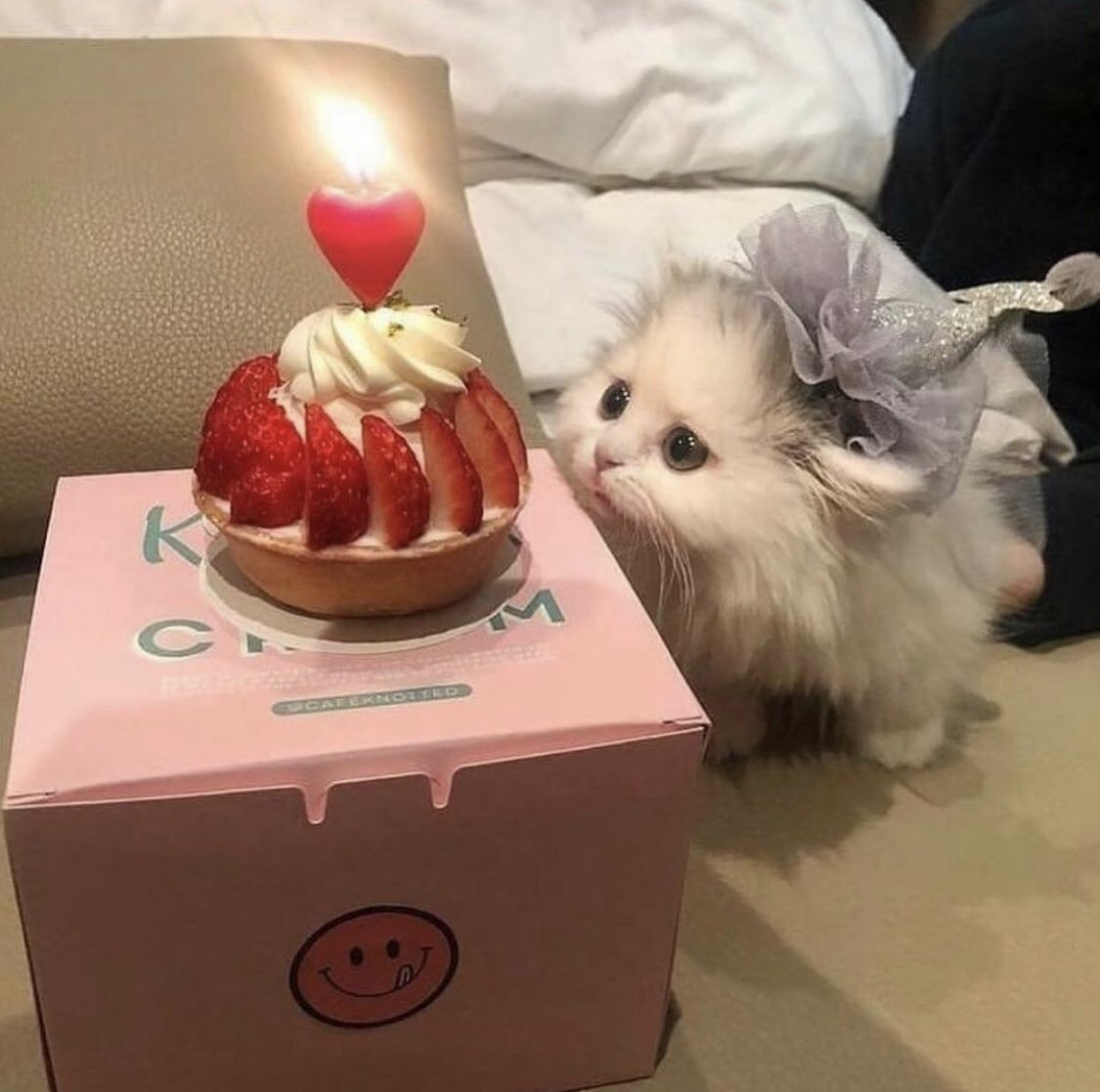 - ♡ You’re built so much stronger than you give yourself credit for. This situation right now is hard, but it is okay to accept that. you’re never alone in this.