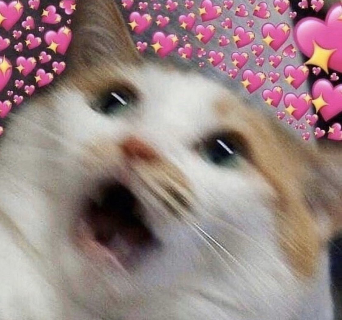 - ♡︎ You’re loved by many, if you haven’t heard this today, I love you!