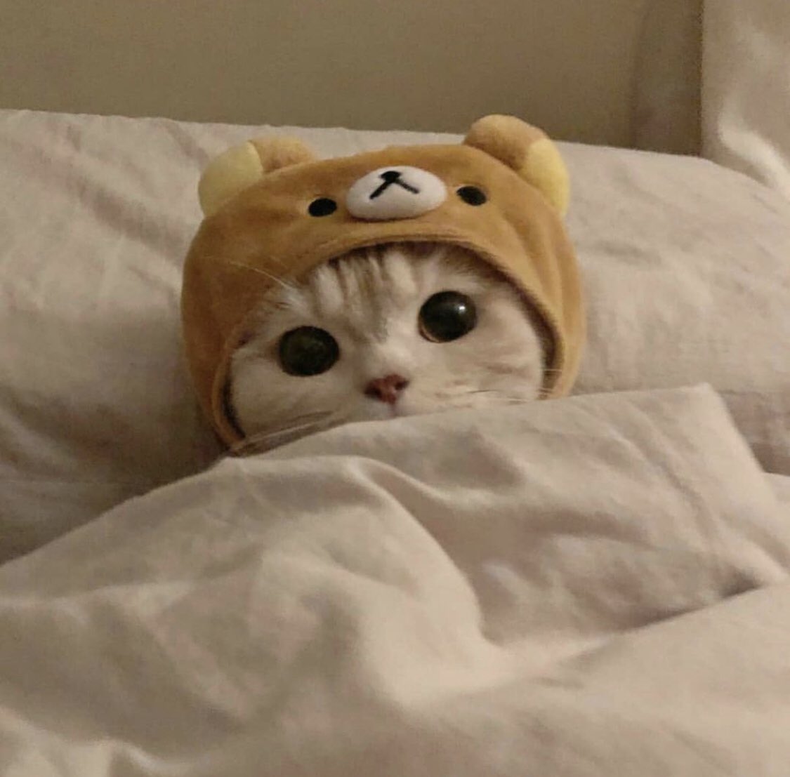 - ♡︎ Be proud of yourself for simply getting through the year. It’s been a hard one. Give yourself some credit and mentally congratulate yourself for making it through! You deserve it 