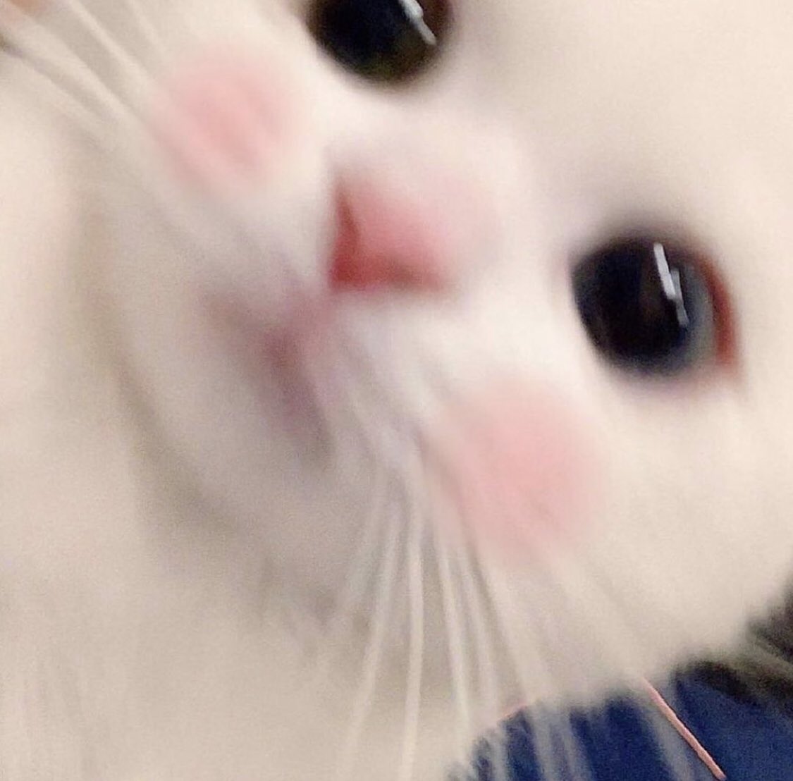 ︎- ♡︎ You don’t have to have it all together to feel good about you. No one is perfect nor complete. However mark my words, you’re SO very worth and are MORE than enough! You are not alone and i’m here for you 