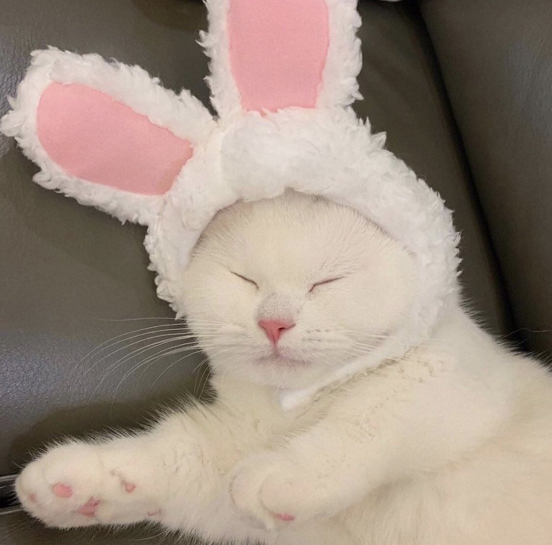 - ♡︎ Give yourself some rest. You deserve it! You are such an immaculate being. You deserve every inch of rest you can get. You’ve been working very hard and that is enough! Please take care of you 