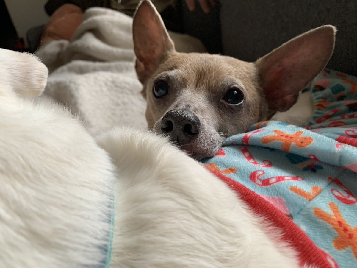 Franklin using Alice as a pillow: a thread