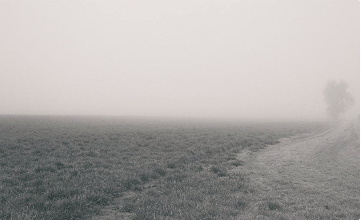 KunalMehraPhoto's tweet photo. Need peace in chaotic times? Winter, silence and fog provide opportunities for introspection and self-discovery.
#peaceful #meditation #relaxation #RelaxingPhotos #HillsboroFog #OregonWinter
https://t.co/sHwzBDNN7N https://t.co/ZH8bLQtrSS