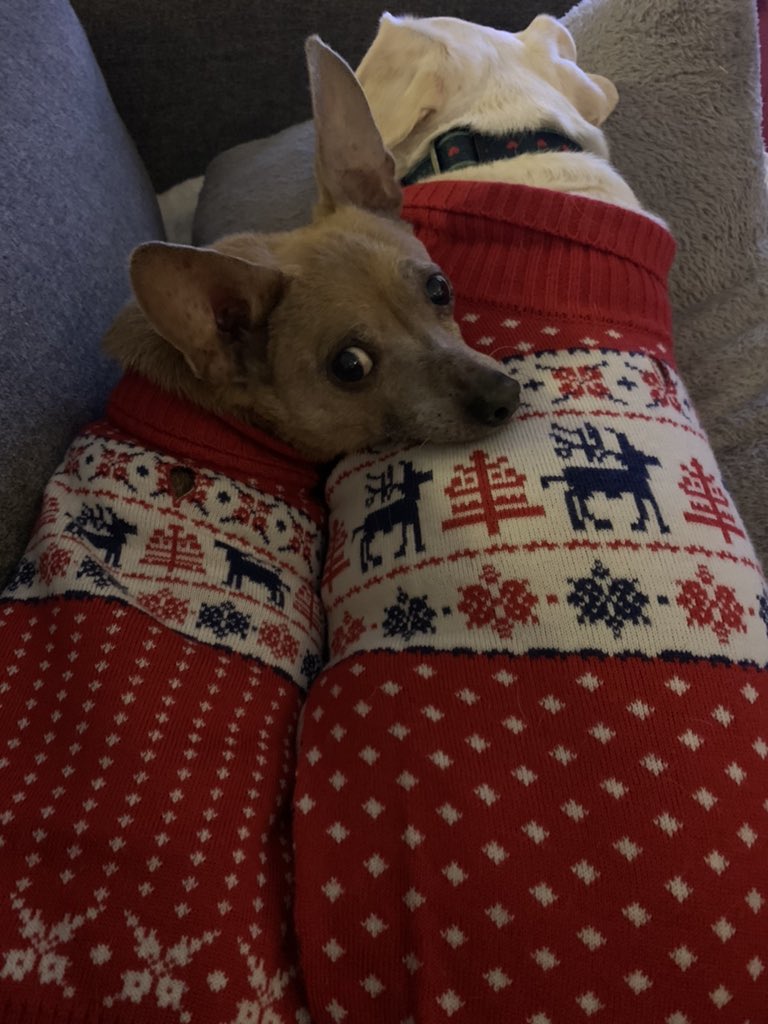 Franklin using Alice as a pillow: a thread