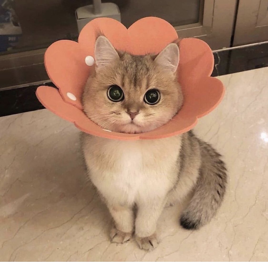 - ♡︎ You are beautiful, Worthy, Deserving of love and respect. I love you and so many other people do! It’s true