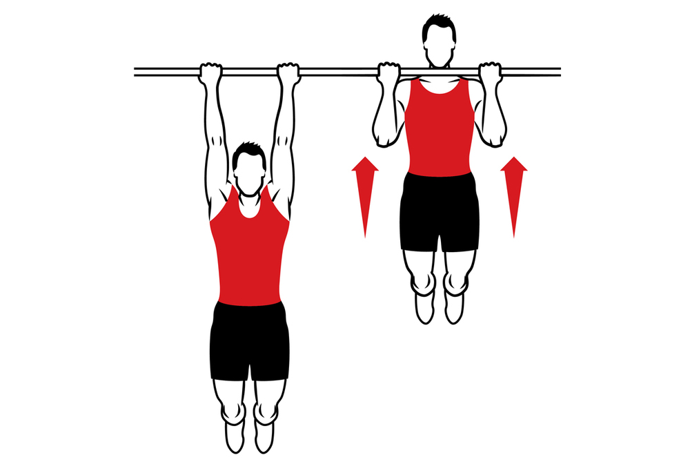 Chin-UpChin-ups incredibly underrated. They build much needed upper body strength.When performed through full ROM and slowly overloadedThey have the ability to pack on serious mass onto your lats, back and biceps and forearms. Sound important?They are 