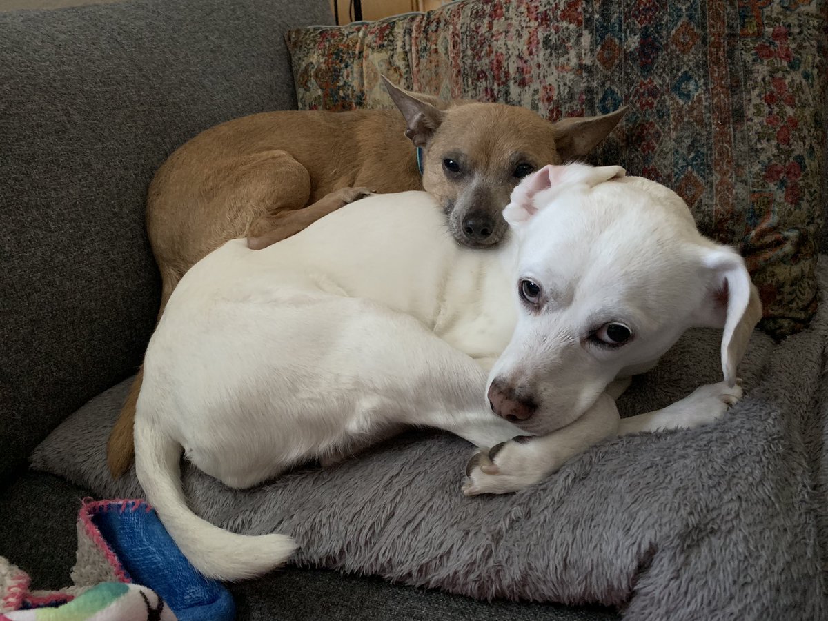 Franklin using Alice as a pillow: a thread