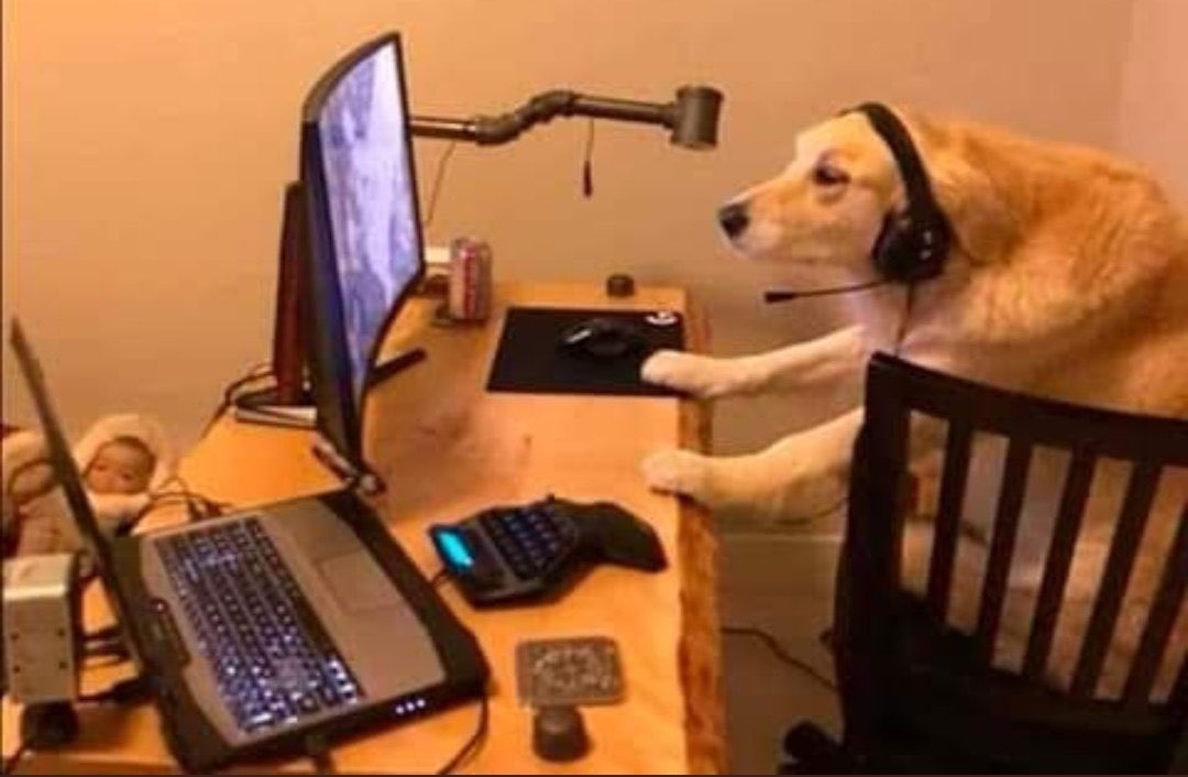 Yo aquí viendo lo del Capitolio, el golpe de Estado, Kim Kardashian y Kanye, Jeffree Star, Trump, Biden, harry styles, olivia , posible muerte de levi, primer episodio de Tpn, sin hacer las 30 tareas de trabajo acumuladas que tengo: