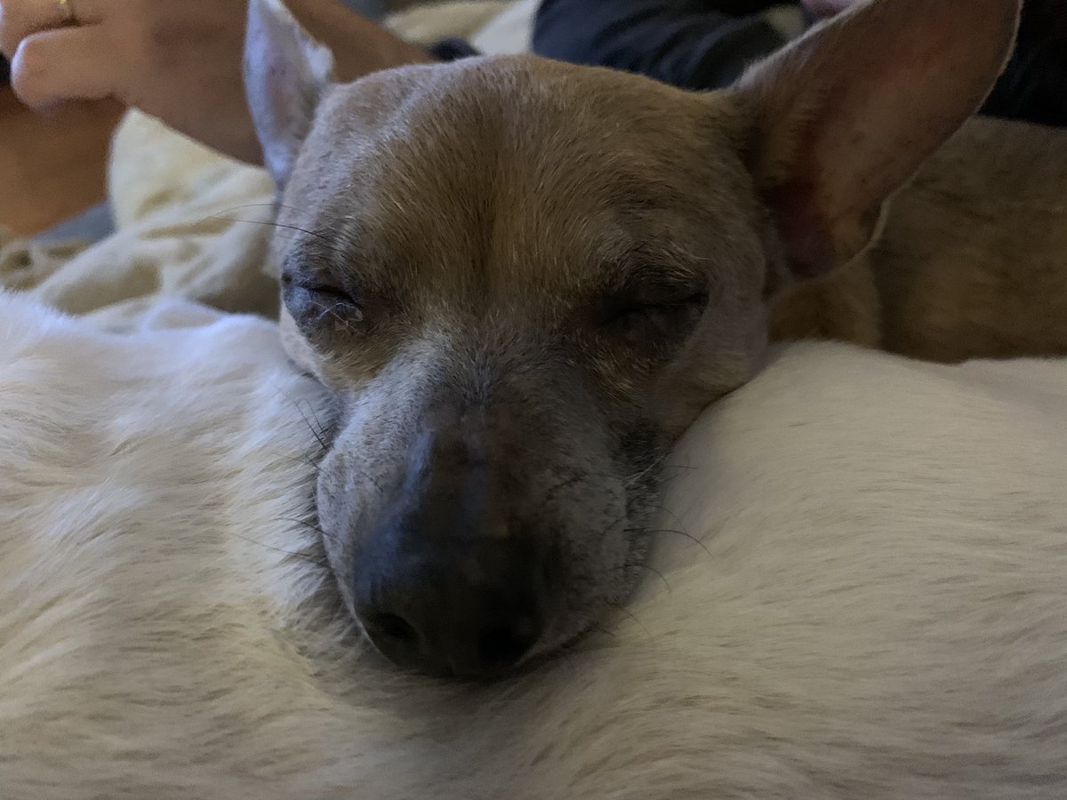 Franklin using Alice as a pillow: a thread