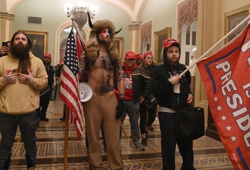 jannarden's tweet image. The natural history museum has a new exhibition.