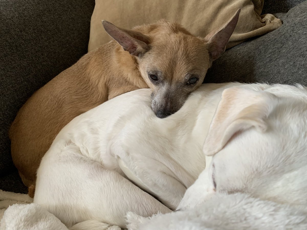 Franklin using Alice as a pillow: a thread