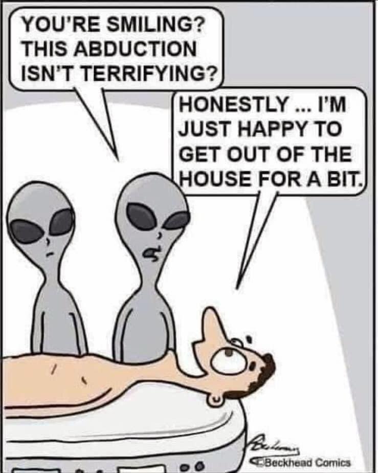 Peninsula Kelp company (@companykelp) on Twitter photo 