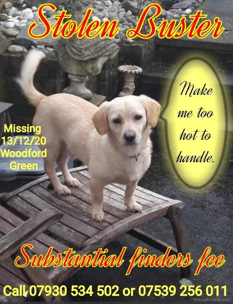 Please RT #forgottensoulshour is at 9pm (UK) tomorrow night. Join us to help longtermers (a year+) find homes 💚

<a href="/The_Animal_Team/">The Animal Team</a> <a href="/EGLR1/">EGLR</a> <a href="/AdoptJuniper/">Juniper the Shelter Dog</a> <a href="/JoDeanoSmith/">Jo Deano #EndBSL 🐱🐶🦊🐄🐖🐑</a> @MCAshares <a href="/MillieOTLFP/">Millie🐾🌈#oneforallandallformillie 🐾🌈</a> <a href="/aponyhour/">#ponyhour</a> <a href="/AndLabus/">Labus - Helping Homeless Hounds into Homes</a>
<a href="/PINScotland16/">Podencos In Need - Scotland</a> <a href="/HilbraesDogs/">Hilbrae Dog Rescue</a> <a href="/Cherrycakes76/">Mel</a> <a href="/GSPSA2/">GSPSA</a> <a href="/whitepeonyfarm/">White Peony Farm</a>