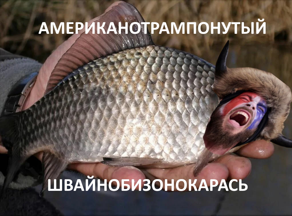 ErFBpJBXMAAjtfi?format=jpg&name=medium