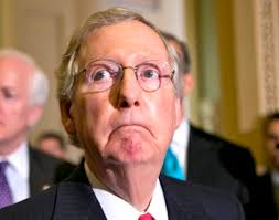EllenTrailerDog's tweet photo. RESIGN https://t.co/JsBQLLHjo4